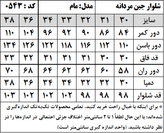 شلوار جین مردانه مدل مام استایل (کد 0543)