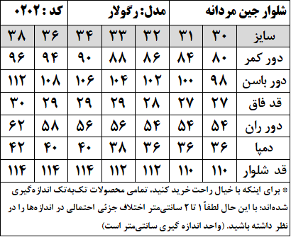 شلوار جین مردانه مدل رگولار (کد 0202)