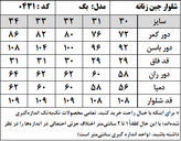 شلوار جین زنانه مدل بگ استایل (کد 0431)