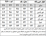 شلوار جین زنانه مدل بگ استایل (کد 9160)