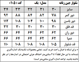 شلوار جین زنانه مدل بگ استایل (کد 0105)