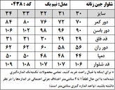 شلوار جین زنانه مدل نیم بگ (کد 0438)