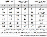 شلوار جین زنانه مدل نیم بگ ریزشی (کد 0566)