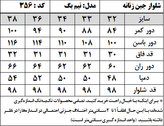 شلوار جین زنانه مدل نیم بگ (کد 356)