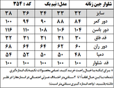 شلوار جین زنانه مدل نیم بگ (کد 354)