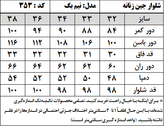شلوار جین زنانه مدل نیم بگ (کد 353)