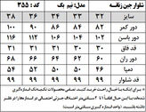 شلوار جین زنانه مدل نیم بگ (کد 355)