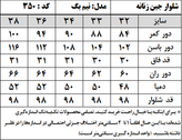 شلوار جین زنانه مدل نیم بگ (کد 350)